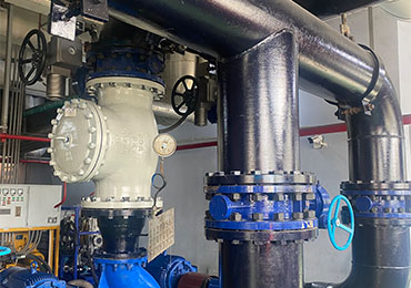 Проект по поставке клапанов для электростанции во Вьетнаме